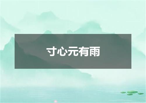 寸心元有雨