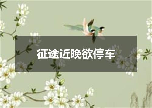 征途近晚欲停车