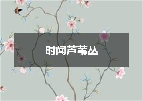 时闻芦苇丛