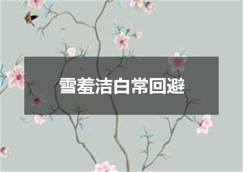 雪羞洁白常回避