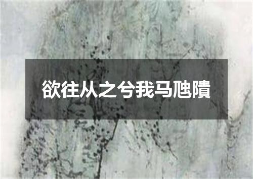 欲往从之兮我马虺隤