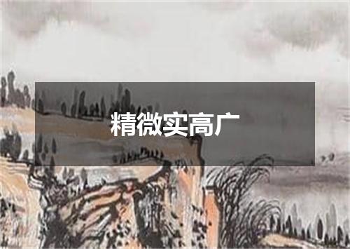 精微实高广