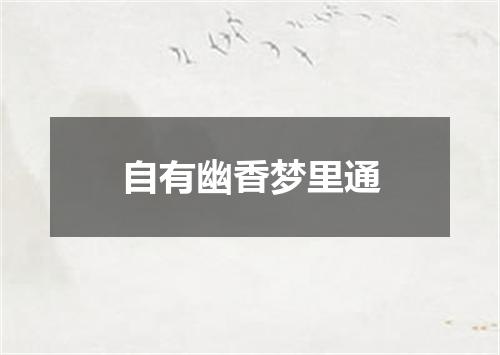 自有幽香梦里通
