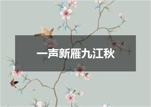 一声新雁九江秋
