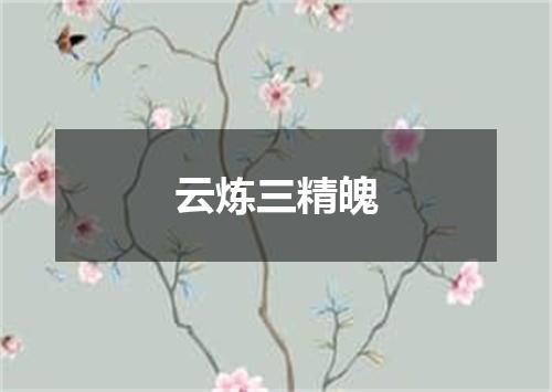 云炼三精魄