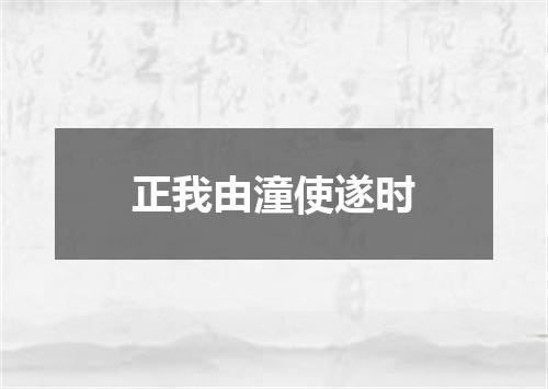 正我由潼使遂时
