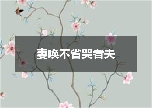 妻唤不省哭者夫