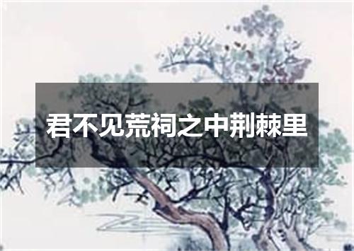 君不见荒祠之中荆棘里