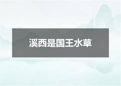 溪西是国王水草