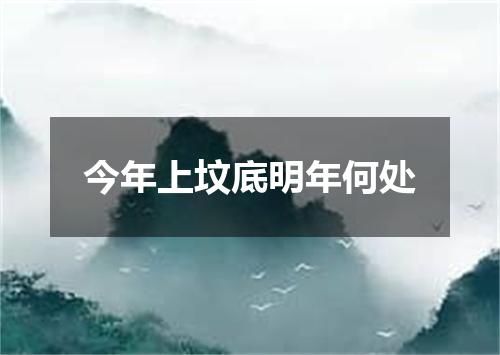 今年上坟底明年何处