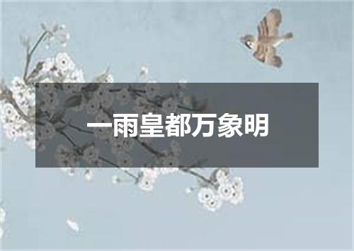 一雨皇都万象明