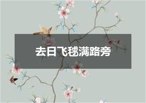 去日飞毬满路旁
