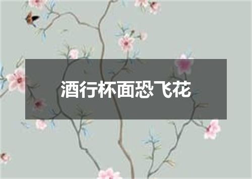 酒行杯面恐飞花
