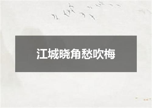 江城晓角愁吹梅