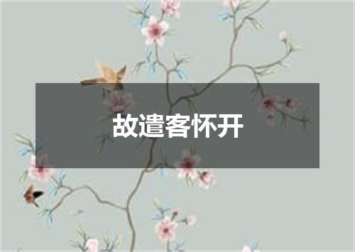 故遣客怀开