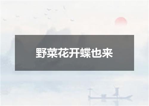 野菜花开蝶也来