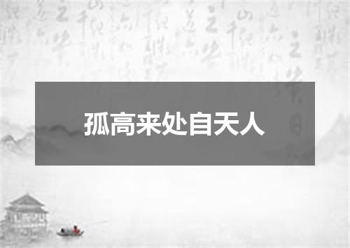 孤高来处自天人