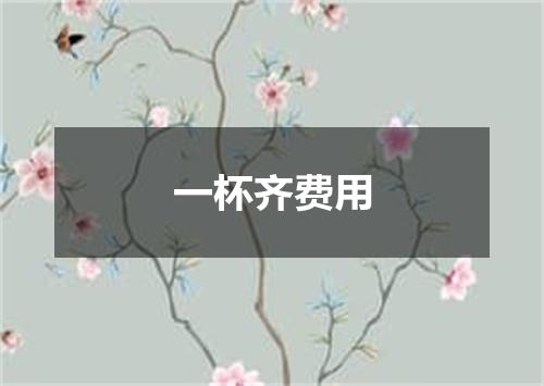 一杯齐费用