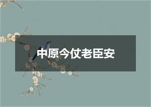 中原今仗老臣安