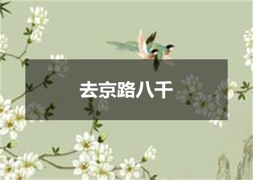 去京路八千