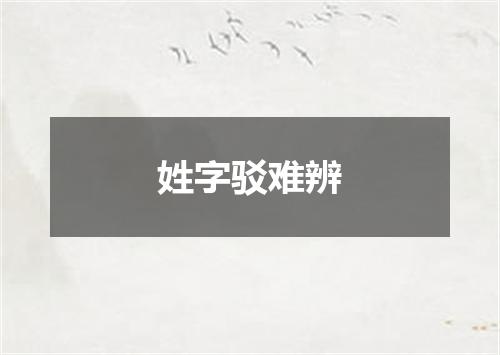 姓字驳难辨