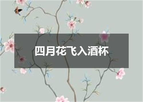 四月花飞入酒杯