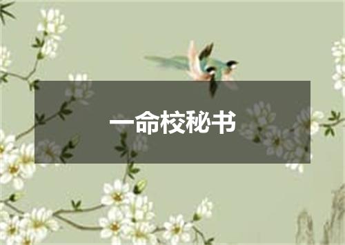 一命校秘书