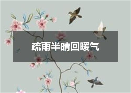 疏雨半晴回暖气