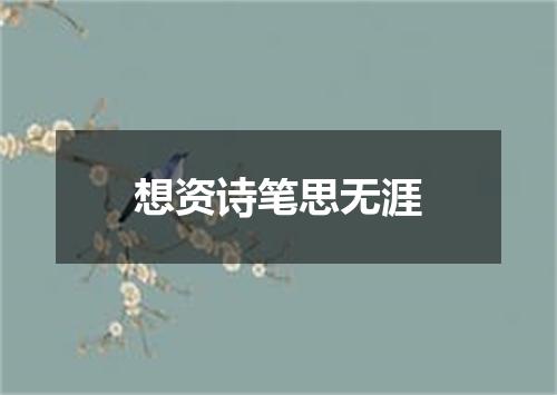 想资诗笔思无涯
