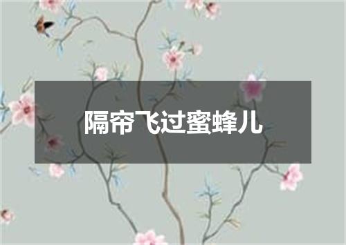 隔帘飞过蜜蜂儿