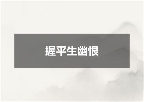 握平生幽恨