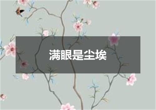 满眼是尘埃