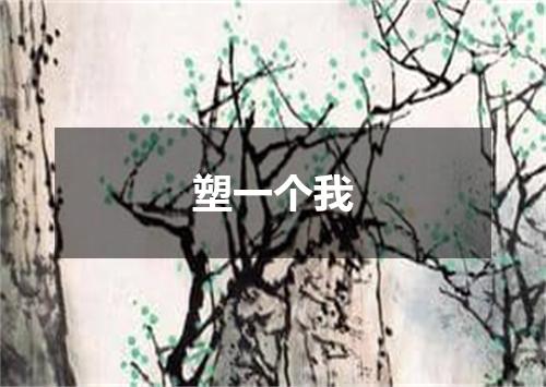 塑一个我