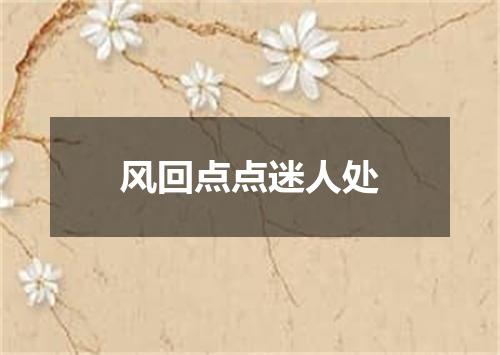 风回点点迷人处