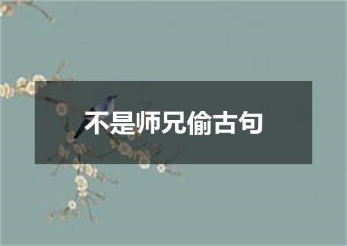 不是师兄偷古句