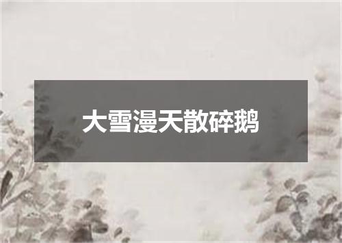 大雪漫天散碎鹅