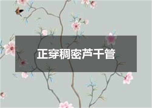 正穿稠密芦千管