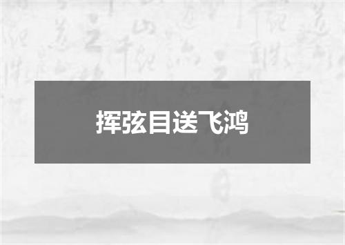 挥弦目送飞鸿