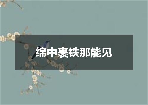 绵中裹铁那能见