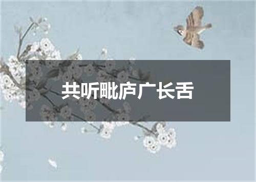 共听毗庐广长舌