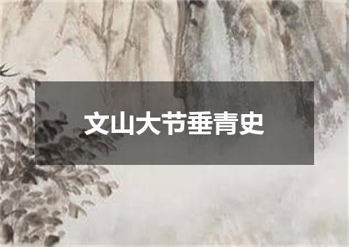 文山大节垂青史
