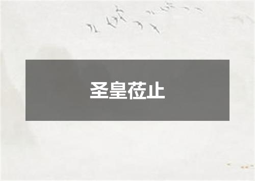 圣皇莅止