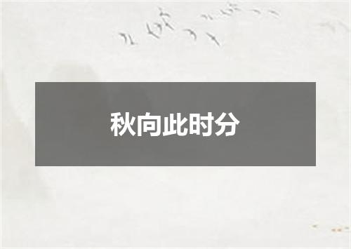 秋向此时分