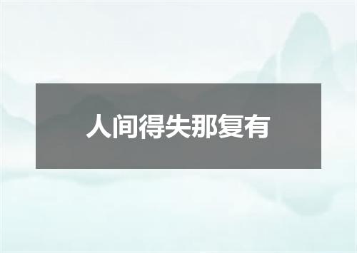 人间得失那复有