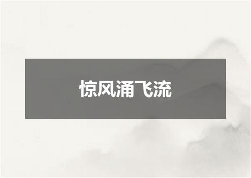 惊风涌飞流