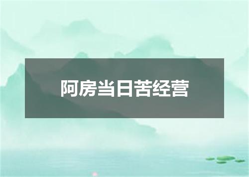 阿房当日苦经营