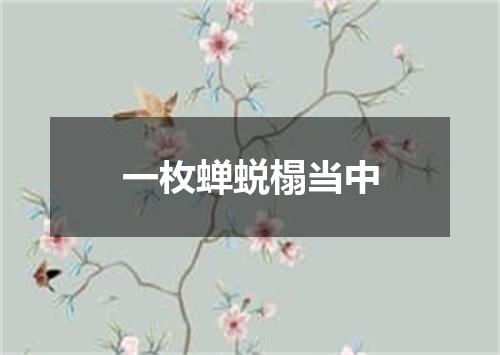 一枚蝉蜕榻当中
