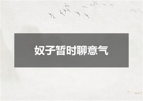 奴子暂时聊意气