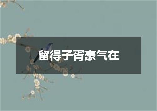 留得子胥豪气在