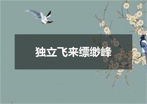 独立飞来缥缈峰